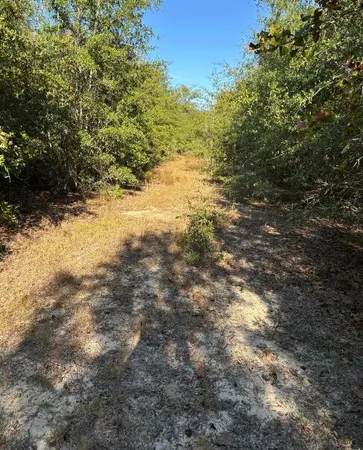 $139,950 | Tbd Pearl Bonnett Road, Windsor, SC 29856