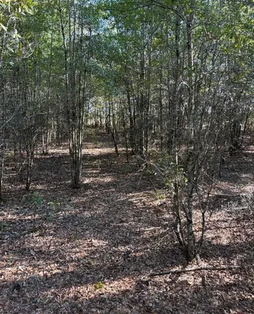 $139,950 | Tbd Pearl Bonnett Road, Windsor, SC 29856