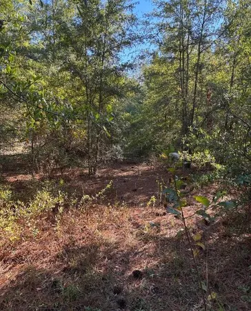 $139,950 | Tbd Pearl Bonnett Road, Windsor, SC 29856