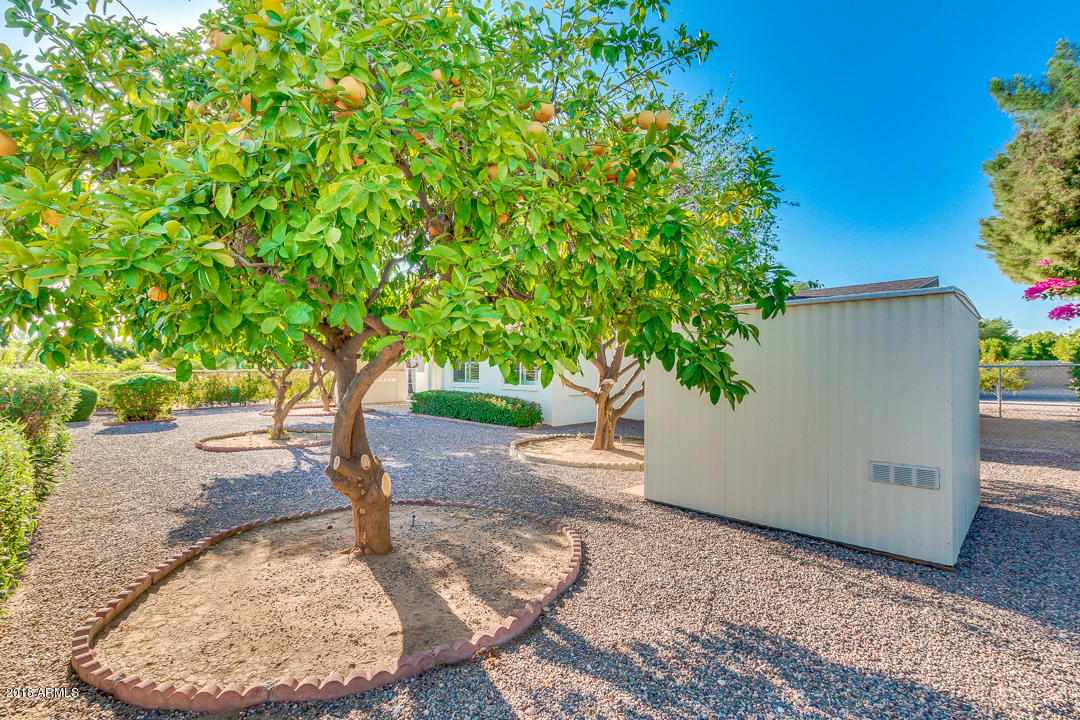 5639 East Adobe Road Mesa, AZ 85205 - Photo 28 of 30 28-Adobe
