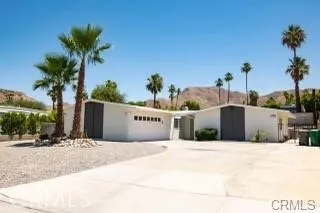 a view of potted plants with palm trees