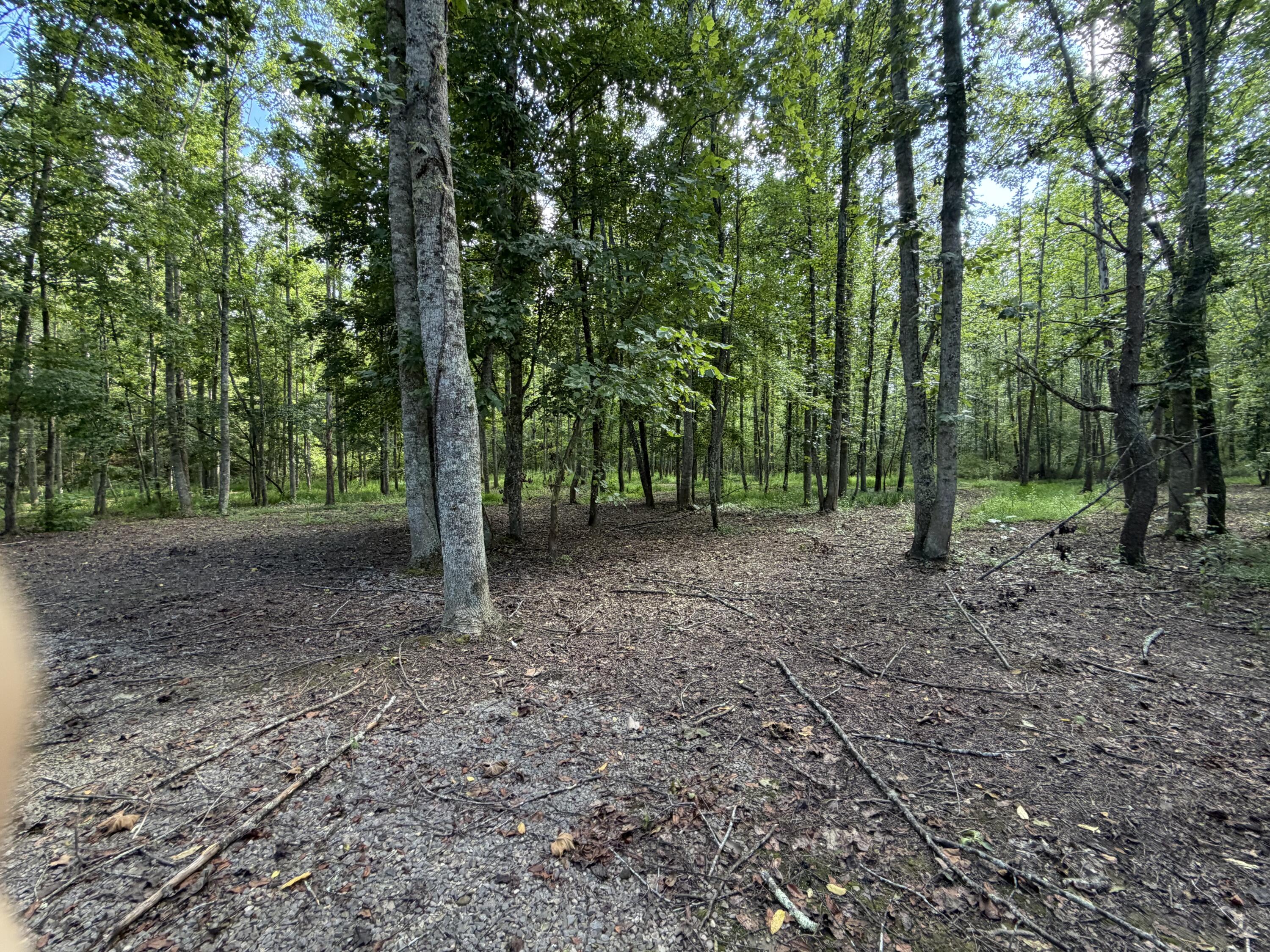 5800 Straight Frk Road Vanceburg, KY 41179 - Photo 20 of 41 IMG_4269