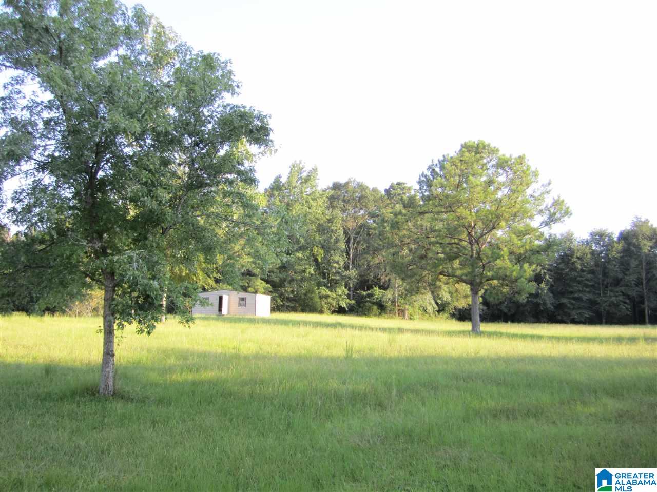 0 Maple Drive, Unit 2 Clanton, AL 35045 - Photo 3 of 3
