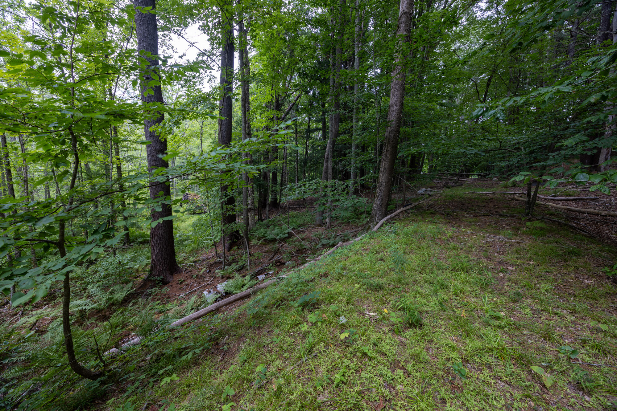 Lot #00 Goodwin Road Eliot, ME 03903 - Photo 11 of 12 9-00 Goodwin Rd
