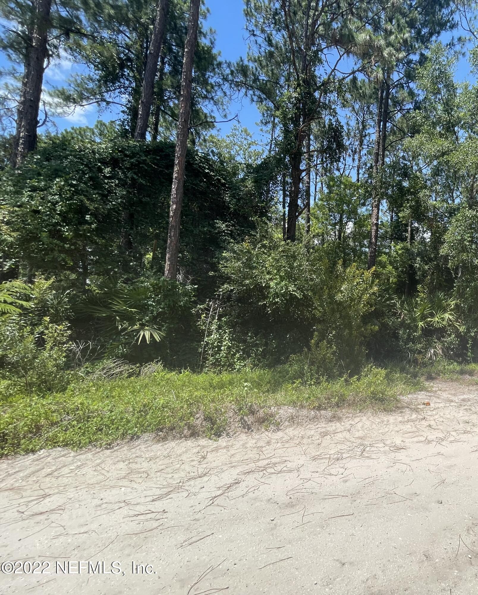 0 Pineshore Road Satsuma, FL 32189 - Photo 1 of 1 wooded lot