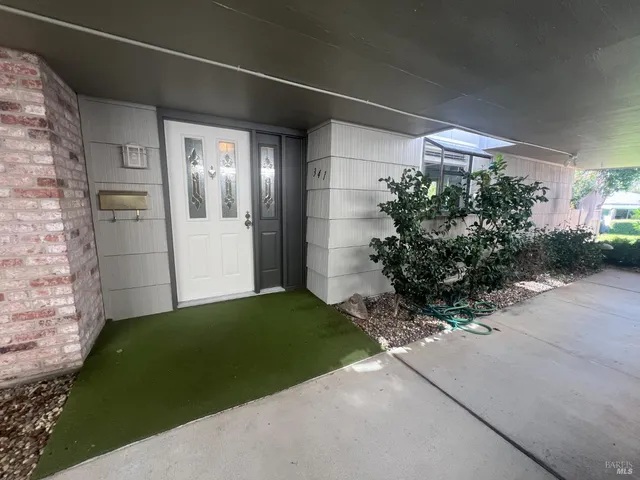 a view of backyard with potted plants