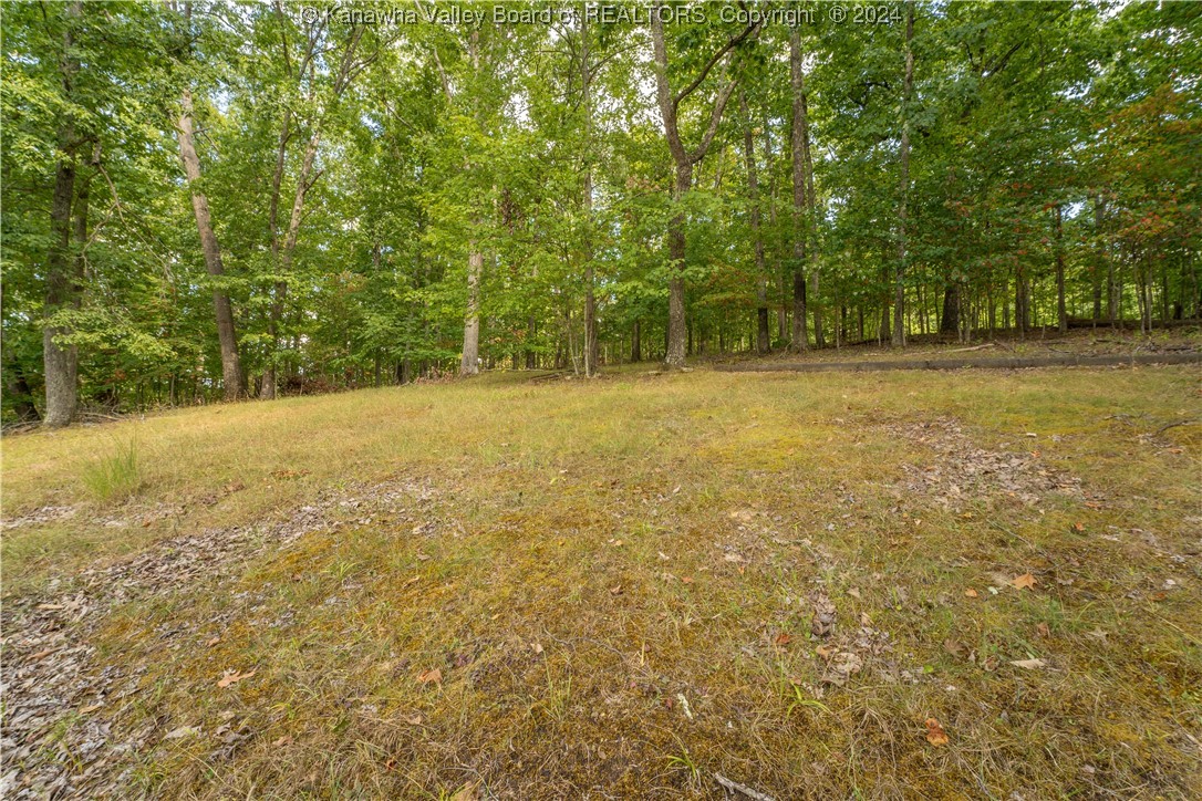73 Chestnut Road Elkview, WV 25071 - Photo 30 of 33 Gallery Image 30