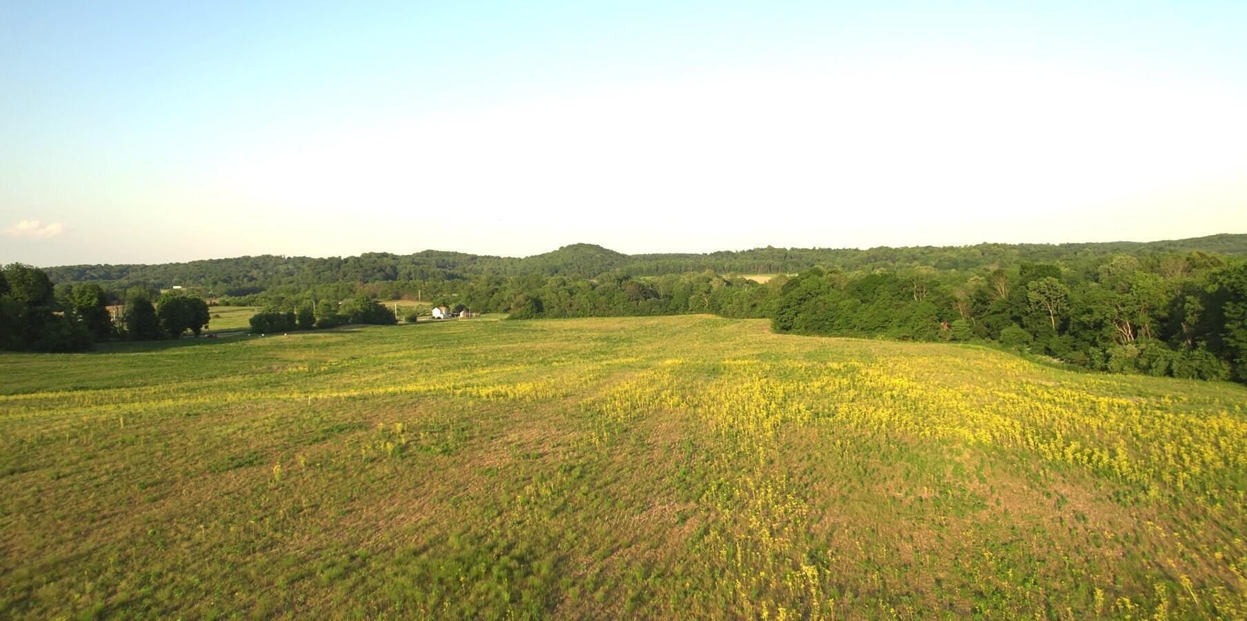 0 Drinkle Road Southwest, Unit LOT 5 Amanda, OH 43102 - Photo 3 of 5 SummerDrinklePic3