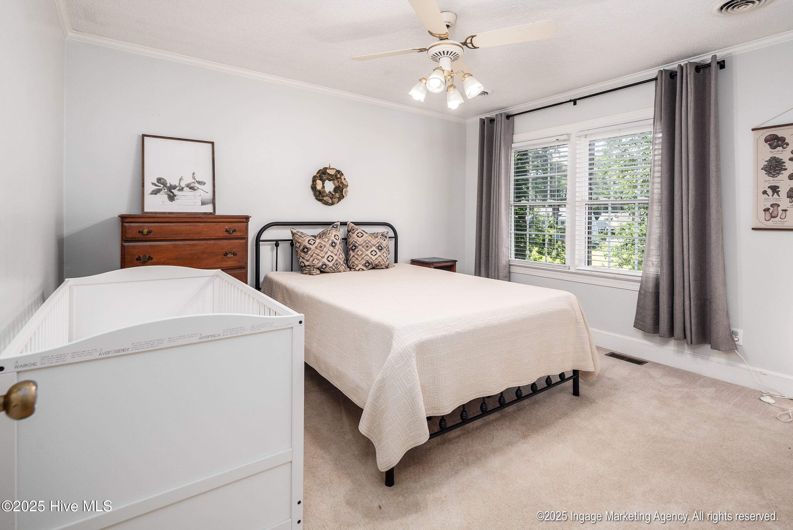 115 Antler Road Greenville, NC 27834 - Photo 29 of 39 Bedroom 2