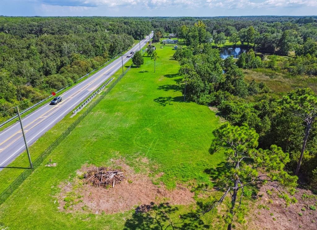 12321 Shady Hills Road Spring Hill, FL 34610 - Photo 19 of 30 a view of a lush green forest