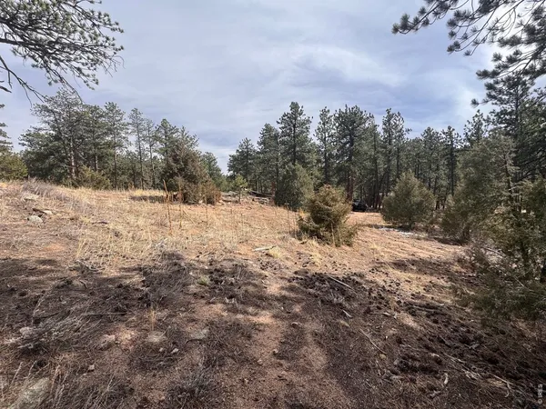 $109,000 | 0 Cedar Drive, Lyons, CO 80540