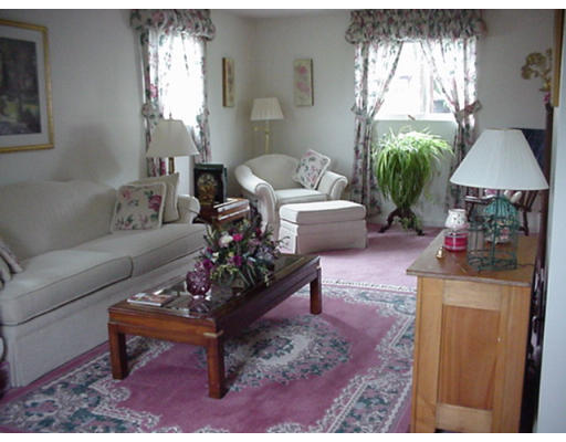 48 Fowler Road Lowell, MA 01854 - Photo 5 of 11 a living room with furniture and a potted plant