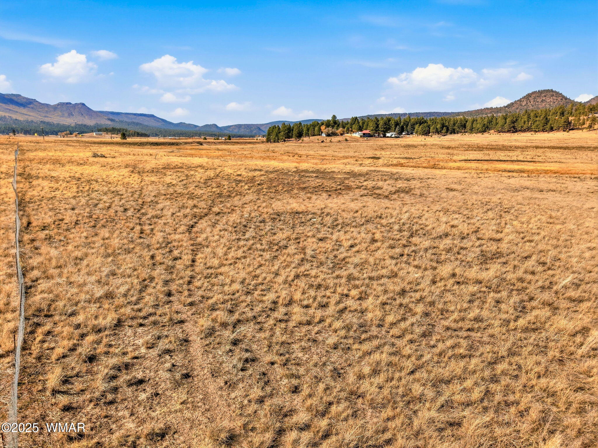 Lot 25 The Ranch Alpine, AZ 85920 - Photo 18 of 21 Parcel-101-73-025-Alpine-AZ-18