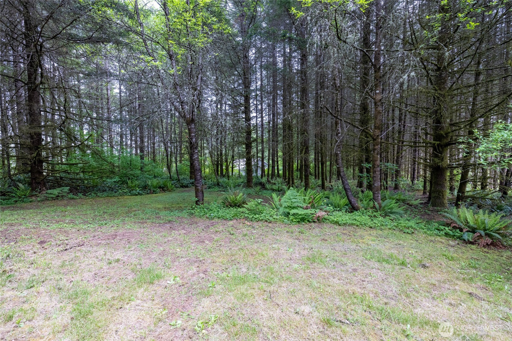 123 Lentz Road North Winlock, WA 98596 - Photo 34 of 40