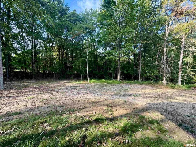 $270,000 | 208 Hall Street, Cambria, IL 62915