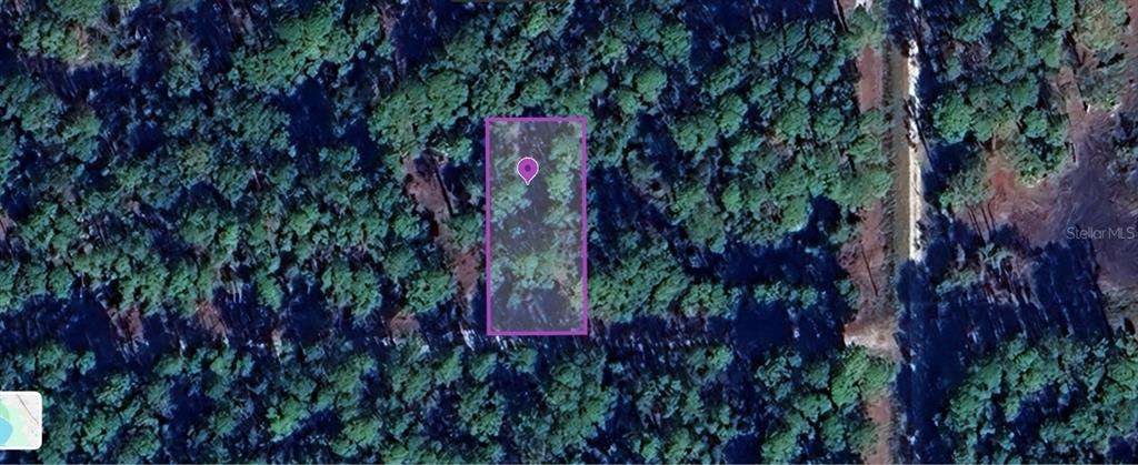 a view of a garden with a tree