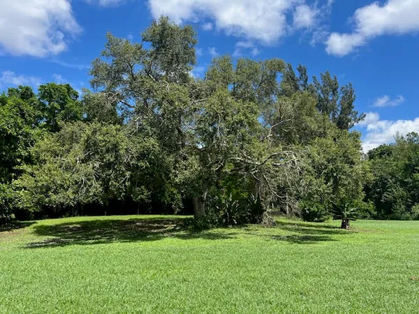 a view of a park