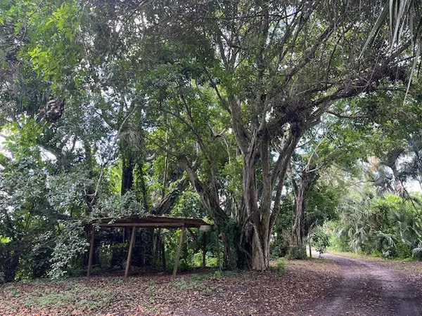 a view of a backyard with a trees