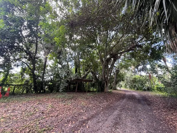 a view of outdoor space with trees