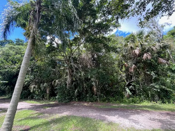 a view of backyard with green space