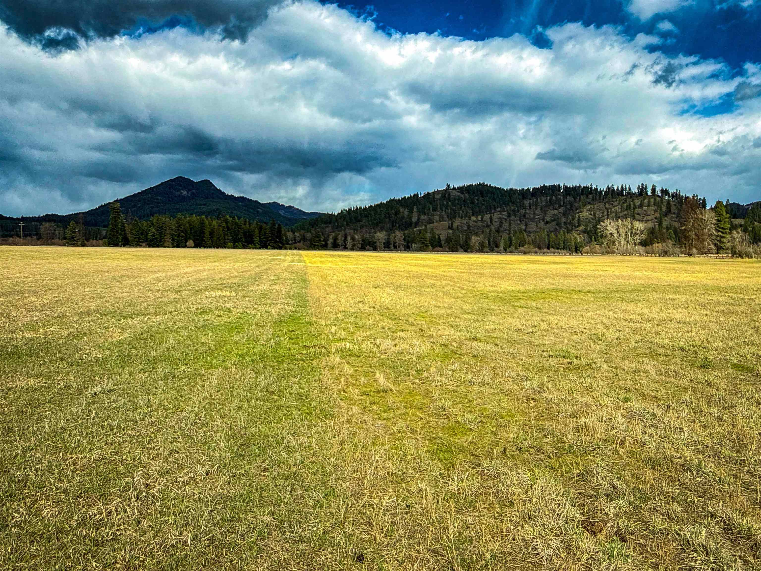 901 Skookum Creek Road Usk, WA 99180 - Photo 32 of 50