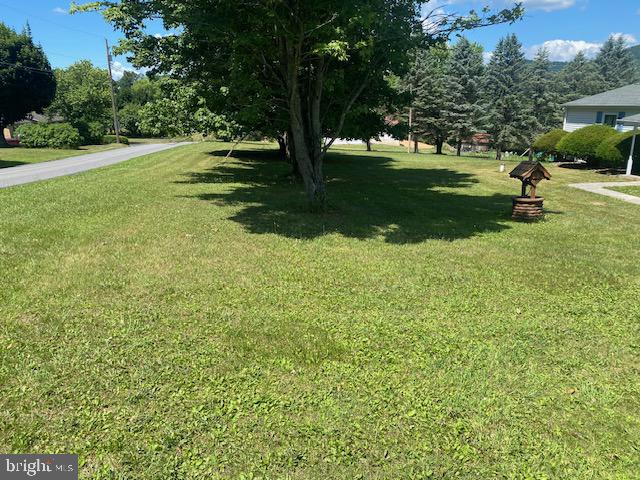 91 Vanormer Road McAlisterville, PA 17049 - Photo 25 of 25 Front yard 3