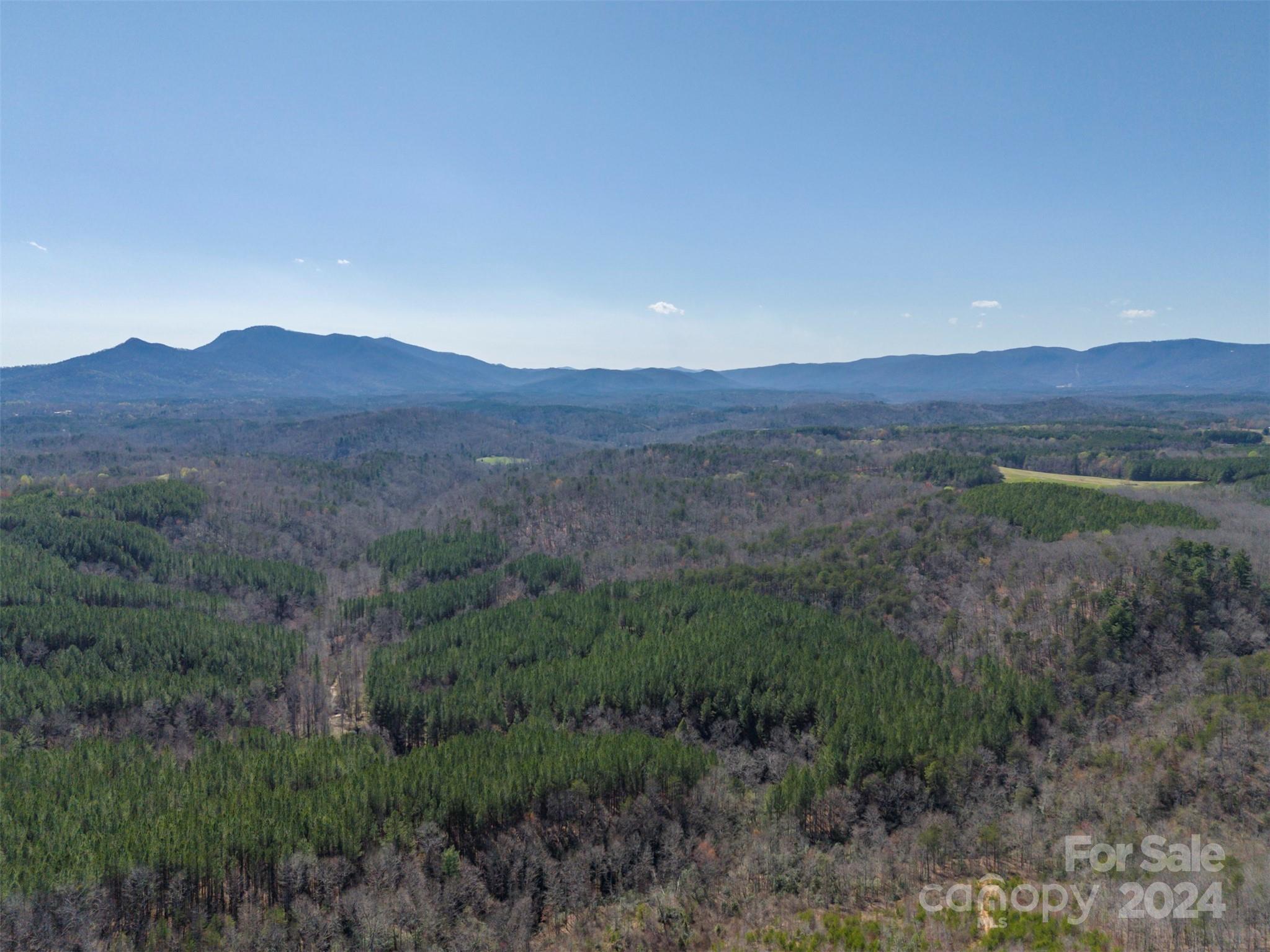 0 North Lynch Rd Mill Spring Southwest Mill Spring, NC 28756 - Photo 12 of 14 a view of a mountain range with trees in the background