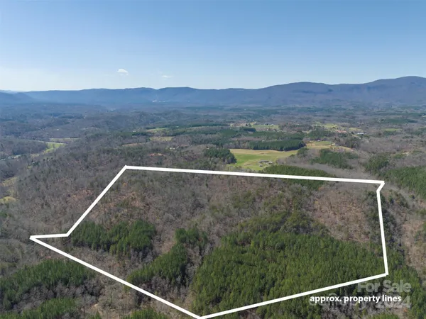 $657,400 | 0 North Lynch Rd Mill Spring Southwest, Mill Spring, NC 28756
