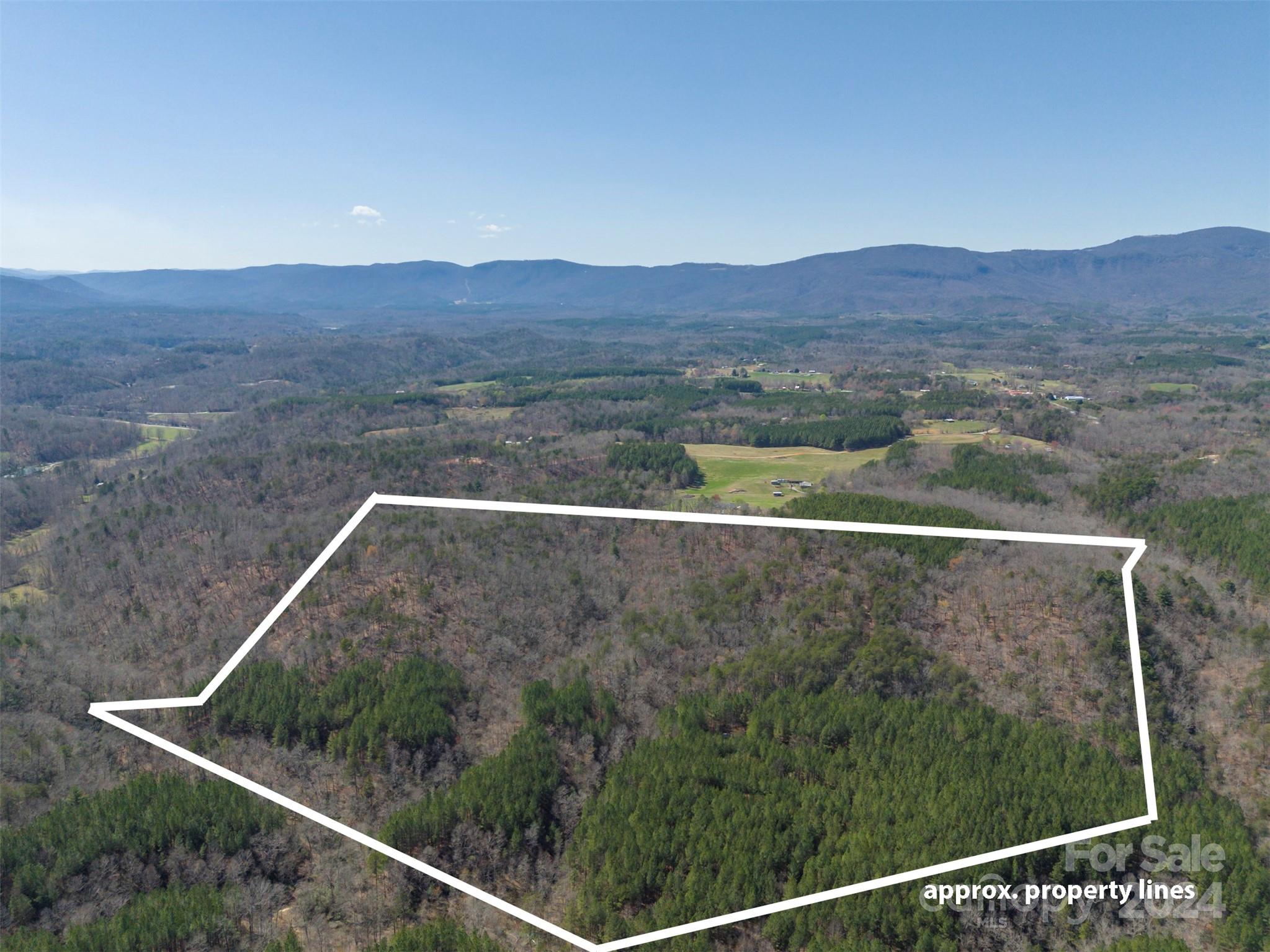 0 North Lynch Rd Mill Spring Southwest Mill Spring, NC 28756 - Photo 14 of 14 a view of a small yard and mountain view