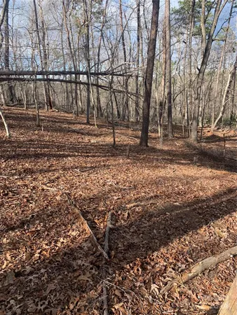 a view of backyard with green space