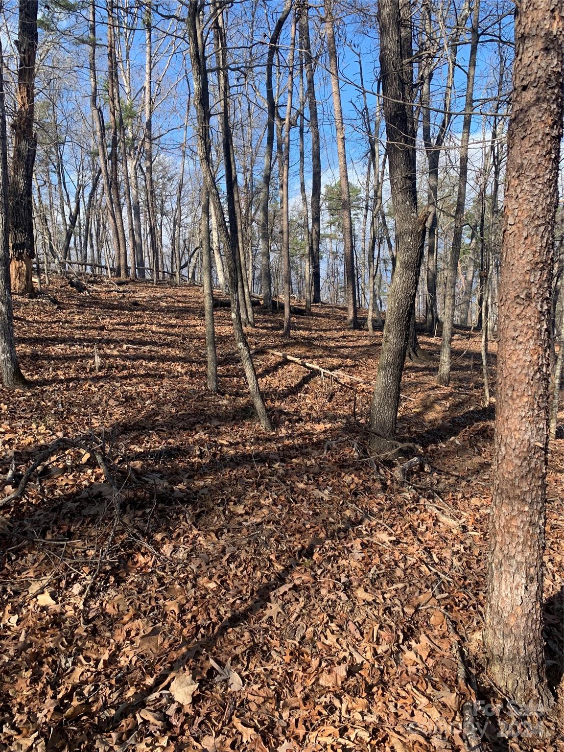 0 North Lynch Rd Mill Spring Southwest Mill Spring, NC 28756 - Photo 4 of 14 a backyard of a house with lots of green space