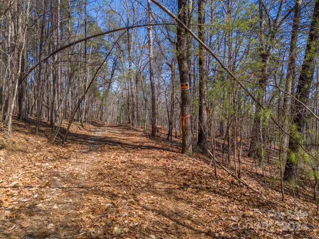 a view of outdoor space