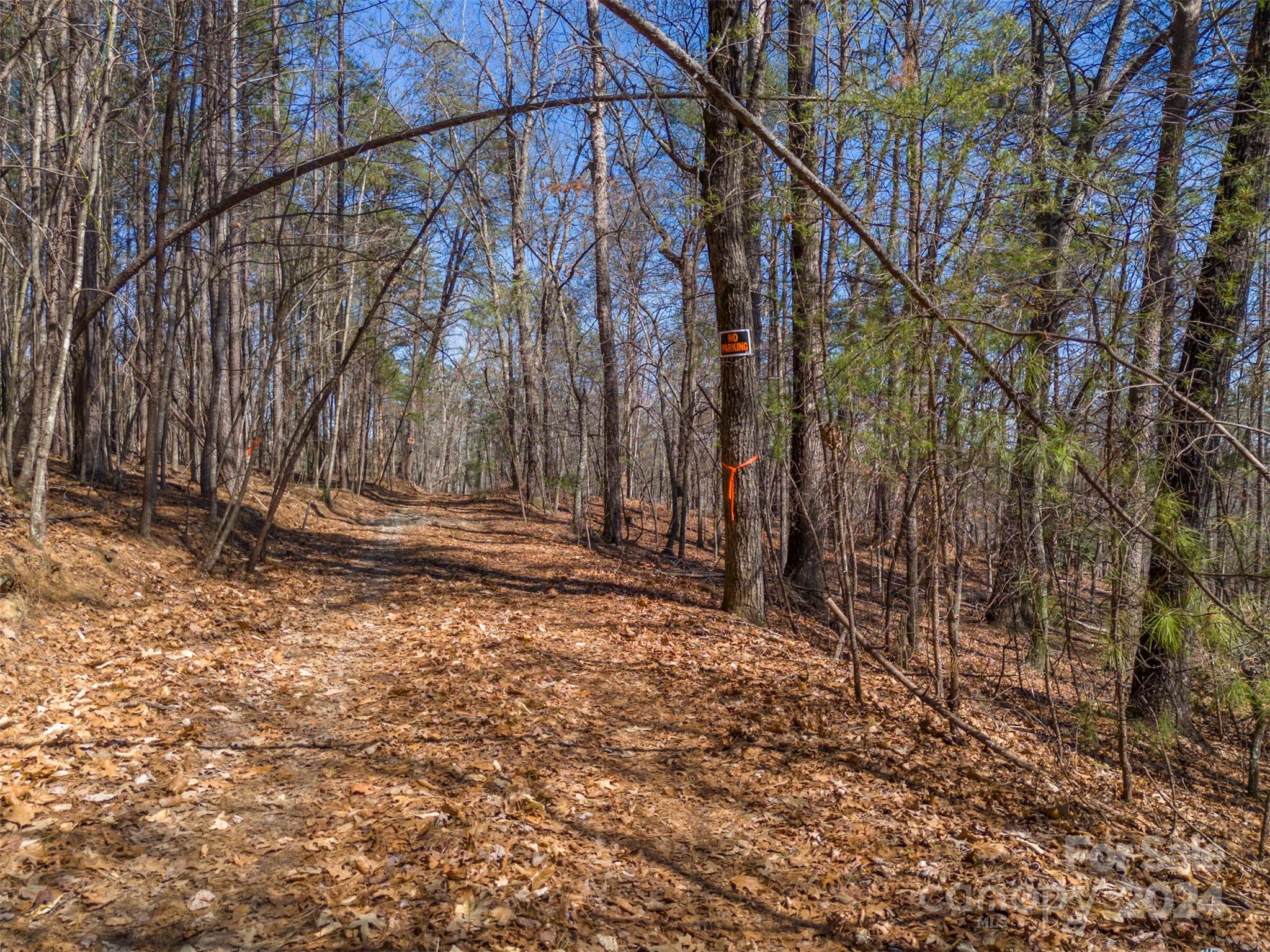 0 North Lynch Rd Mill Spring Southwest Mill Spring, NC 28756 - Photo 7 of 14 a backyard of a house with lots of green space