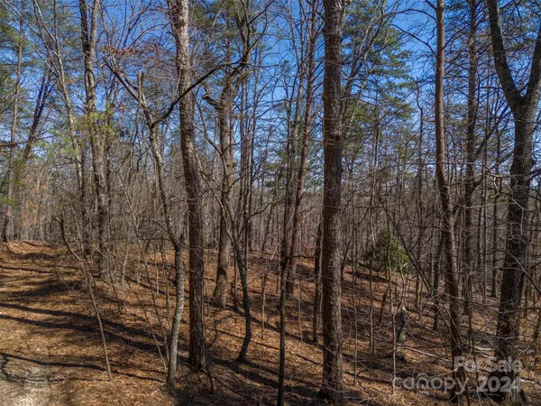a view of a field with trees in background