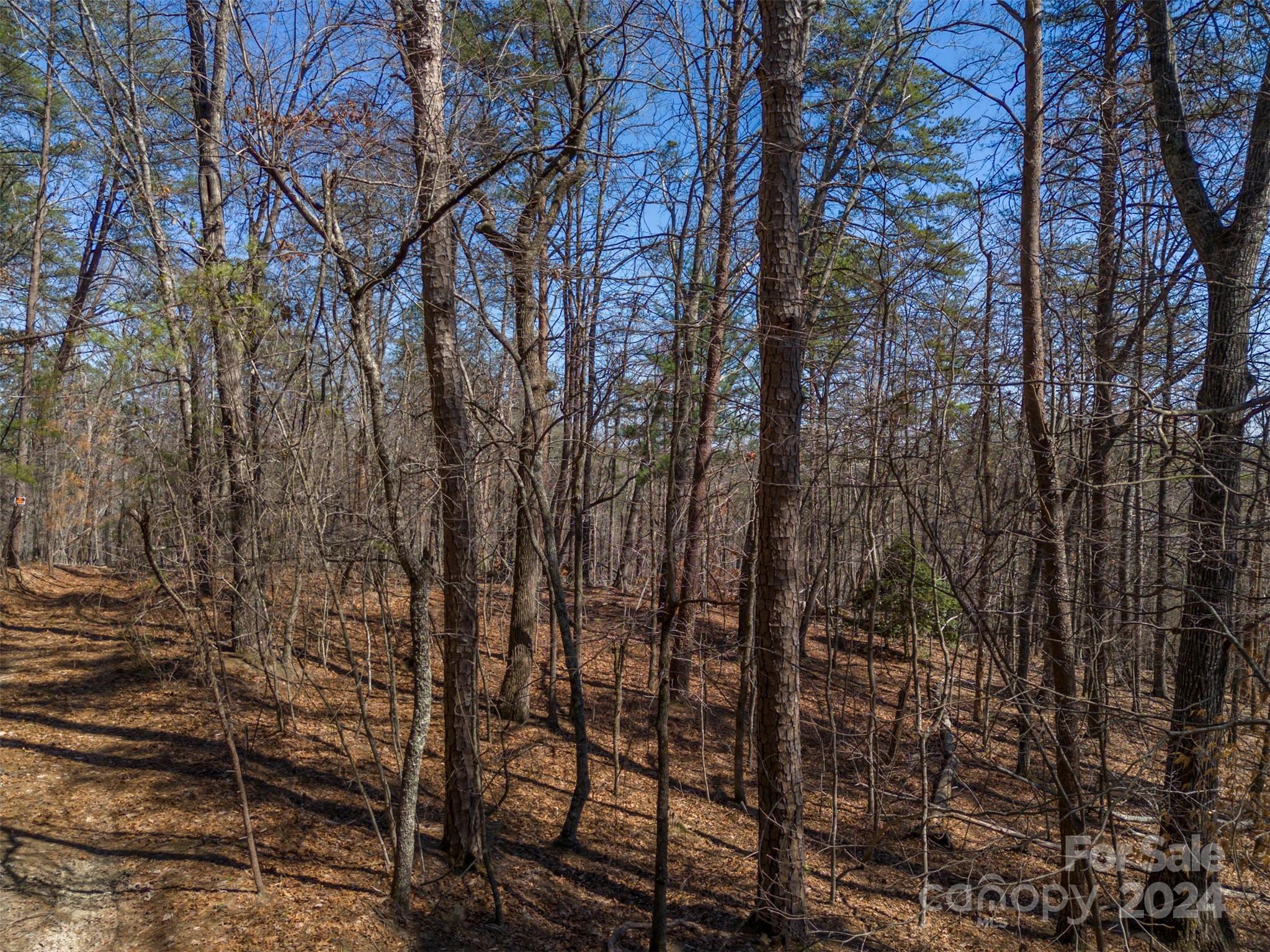 0 North Lynch Rd Mill Spring Southwest Mill Spring, NC 28756 - Photo 8 of 14 a view of outdoor space