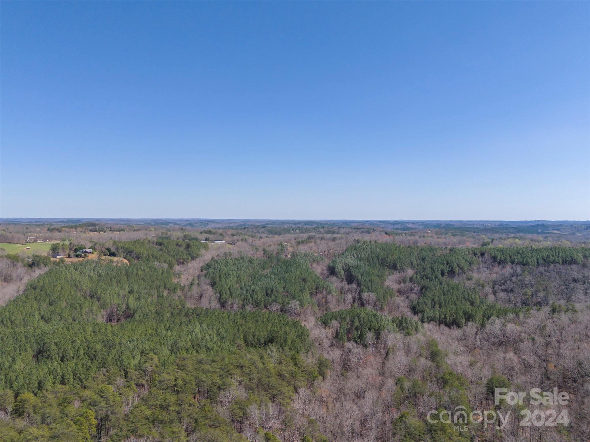 0 North Lynch Rd Mill Spring Southwest Mill Spring, NC 28756 - Photo 9 of 14 a view of a field with trees in background