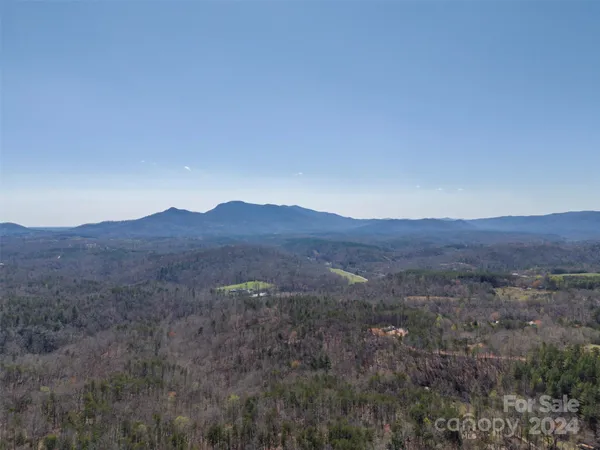 a view of a lush green hillside and a houses