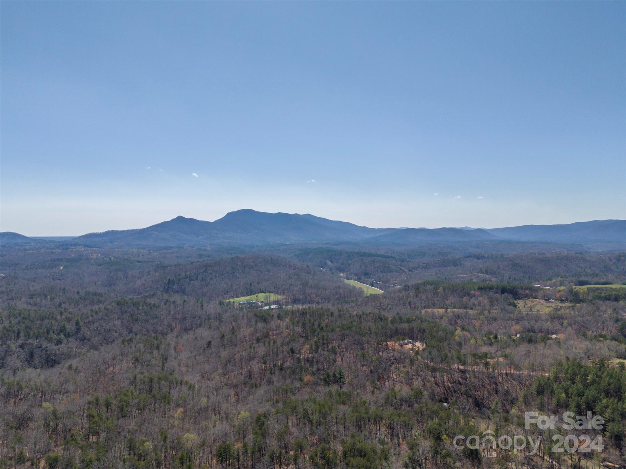0 North Lynch Rd Mill Spring Southwest Mill Spring, NC 28756 - Photo 10 of 14 a view of a dry back yard