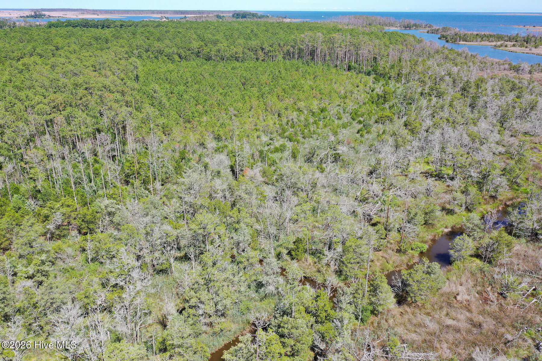 4.57-acres Meekins Road Bayboro, NC 28515 - Photo 12 of 17