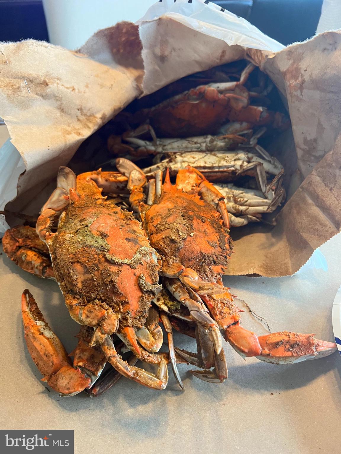 12623 Shell Mill Road, Unit 54 Bishopville, MD 21813 - Photo 15 of 24 a view of an outdoor space