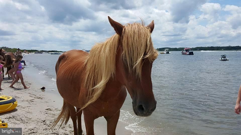 12623 Shell Mill Road, Unit 54 Bishopville, MD 21813 - Photo 17 of 24 a close view of water heater in kitchen