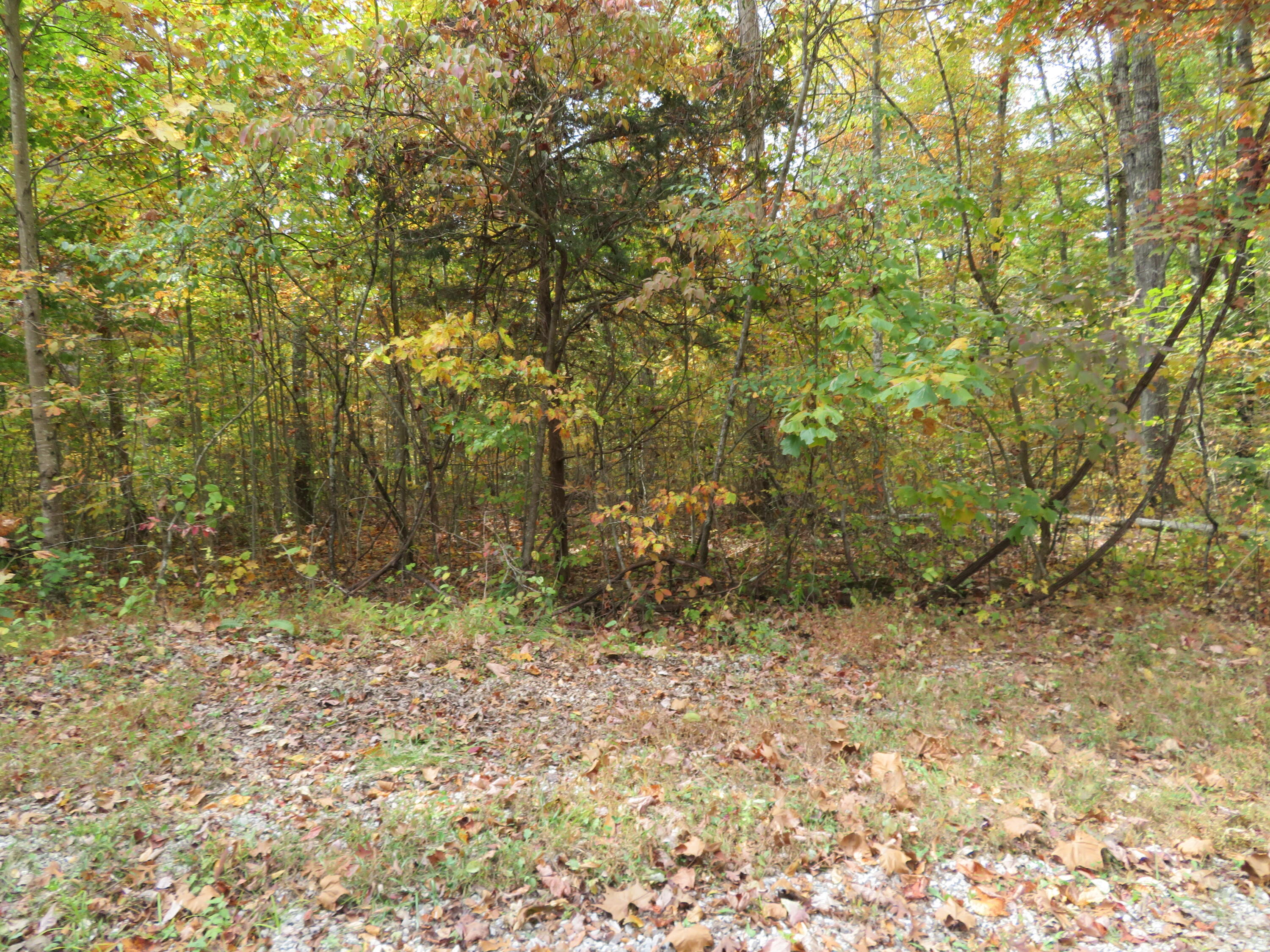 0 Shady Grove Road Mount Vernon, KY 40456 - Photo 15 of 24 IMG_3111