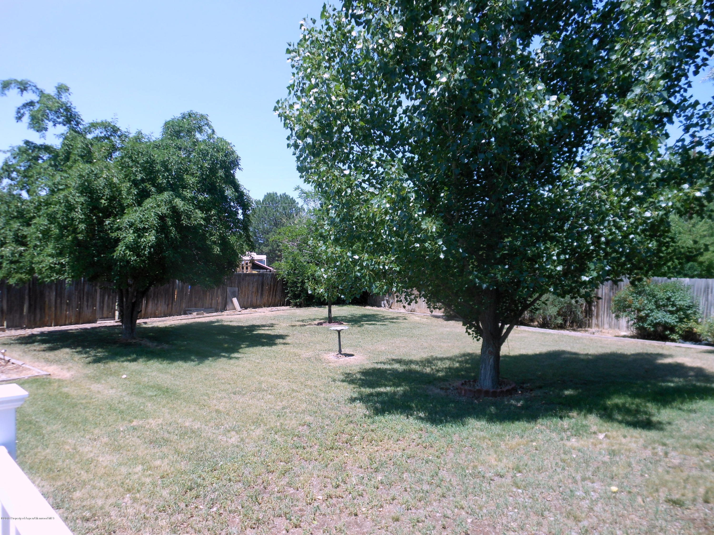 817 Cedar Drive Rifle, CO 81650 - Photo 22 of 24 a view of a yard with a tree