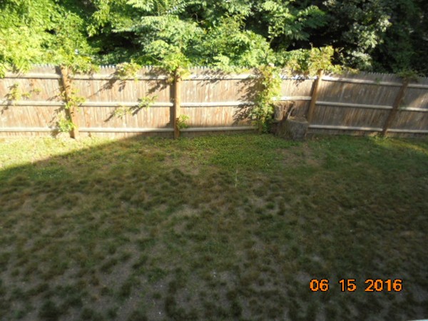 25 Victoria Heights Road, Unit 25 Boston, MA 02136 - Photo 6 of 6 Gallery Image 6