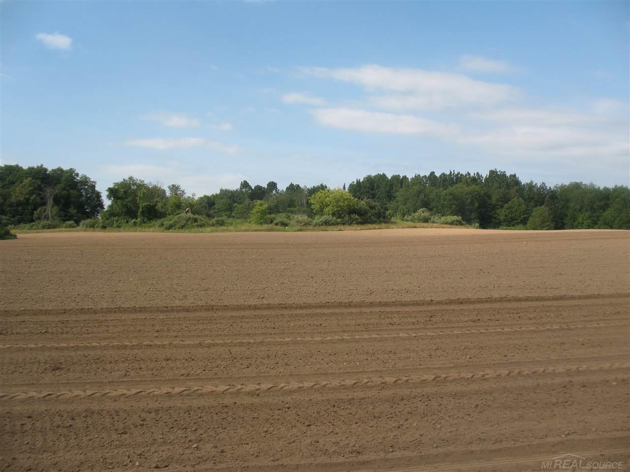 375 Charleston Road Ubly, MI 48475 - Photo 44 of 67