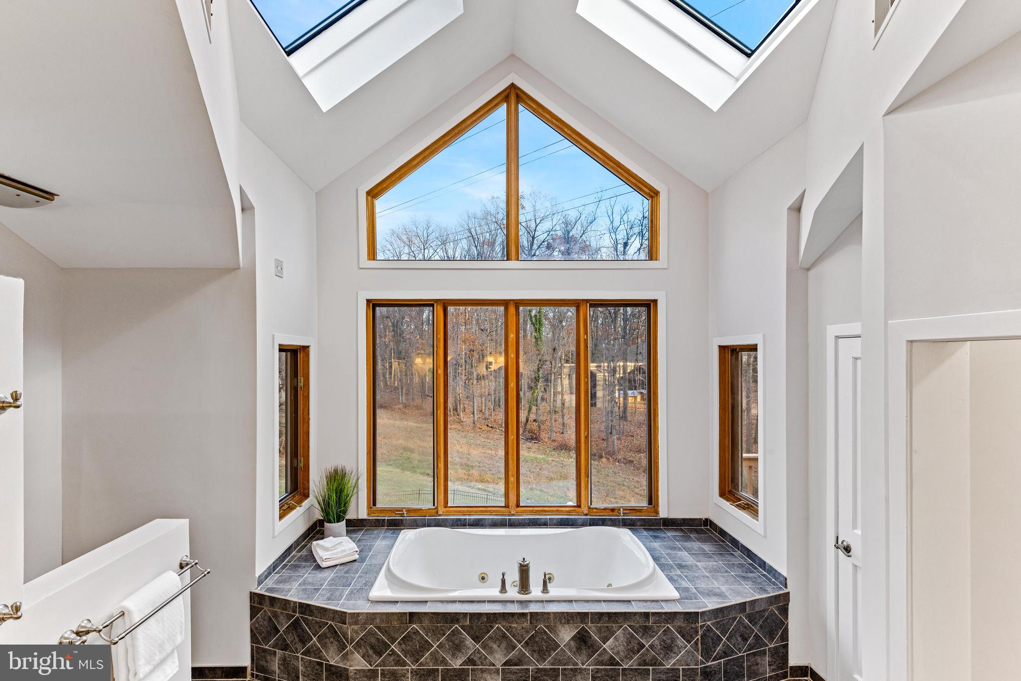 2211 Caves Road Owings Mills, MD 21117 - Photo 26 of 48 Soak up nature with skylights & windows all around