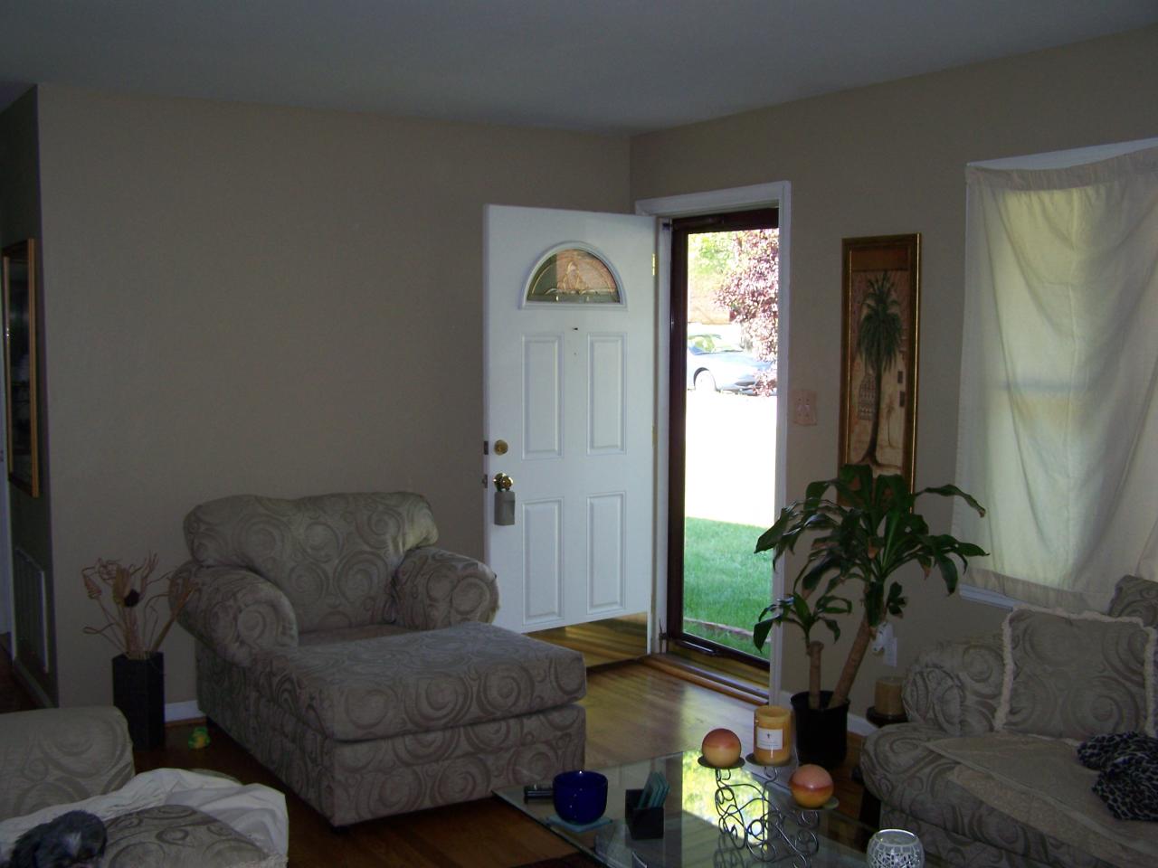 757 Kenyon Road Vinton, VA 24179 - Photo 3 of 10 a living room with furniture and a potted plant
