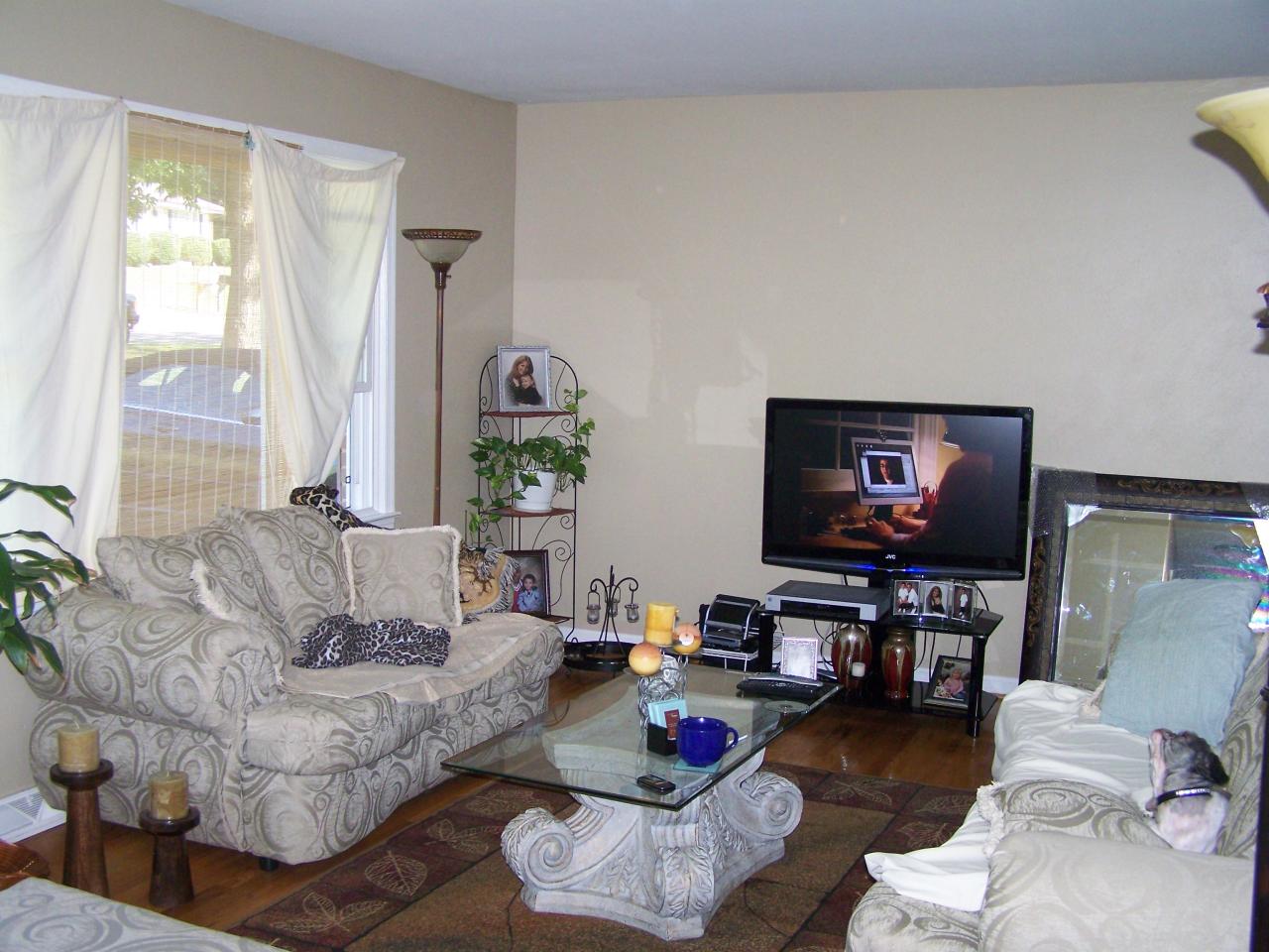 757 Kenyon Road Vinton, VA 24179 - Photo 4 of 10 a living room with furniture and a flat screen tv