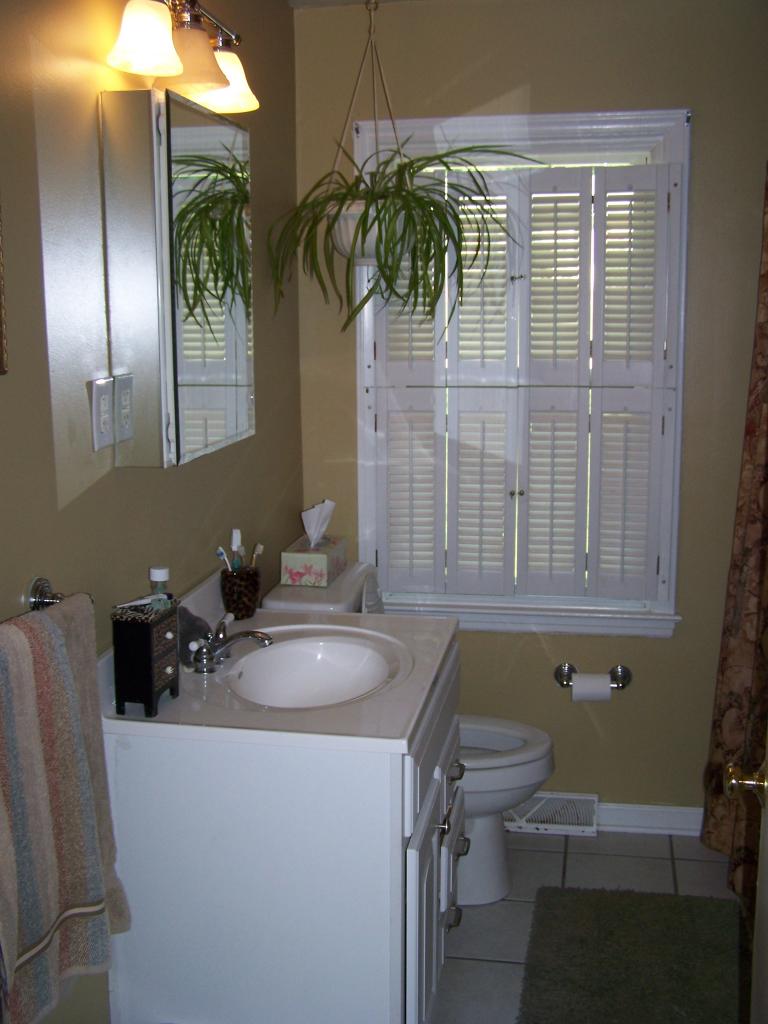 757 Kenyon Road Vinton, VA 24179 - Photo 9 of 10 a bathroom with a sink and a mirror