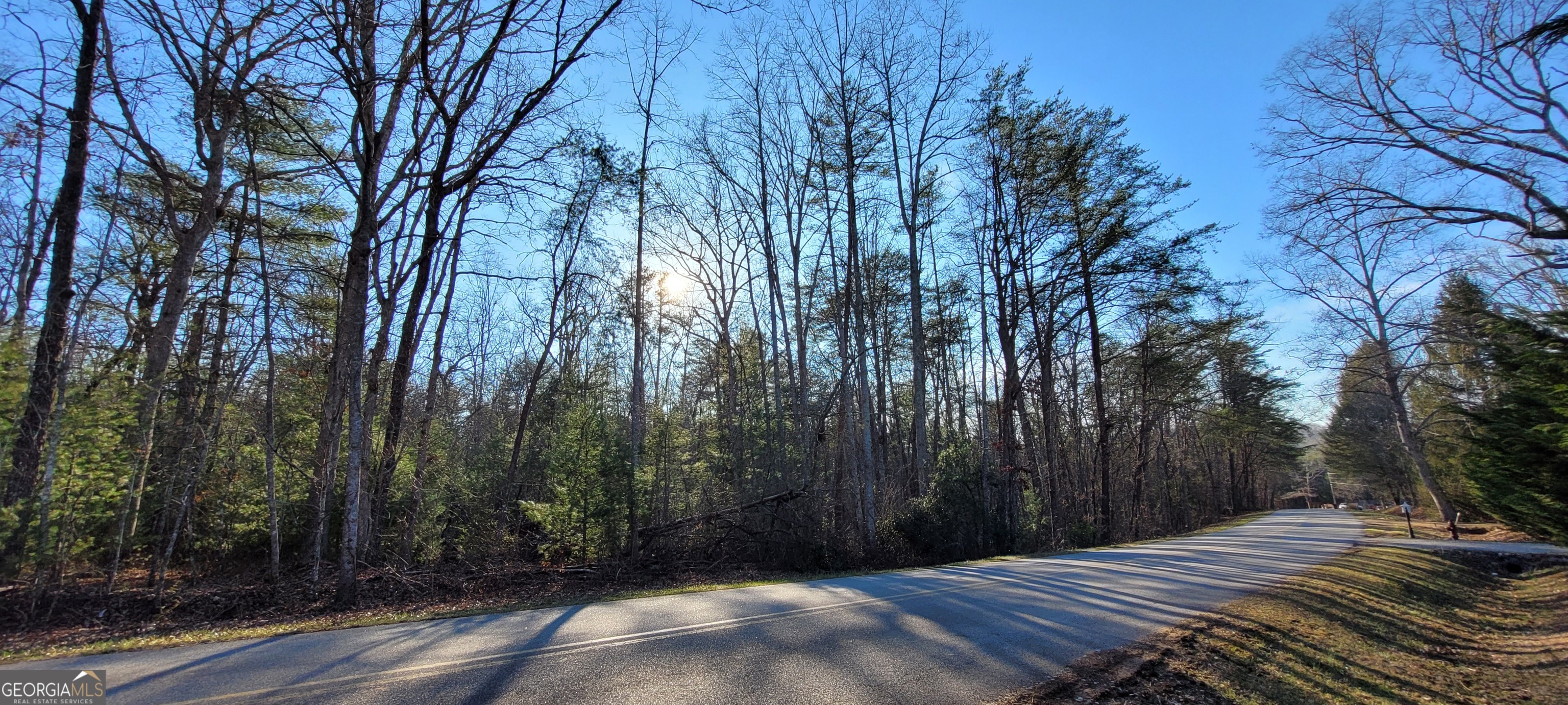 Lot 250 Forge Mill Road Morganton, GA 30560 - Photo 1 of 1 Gallery Image 1